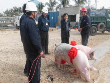 中海油東方石化領導來第六直屬分公司海南海油項目部慰問